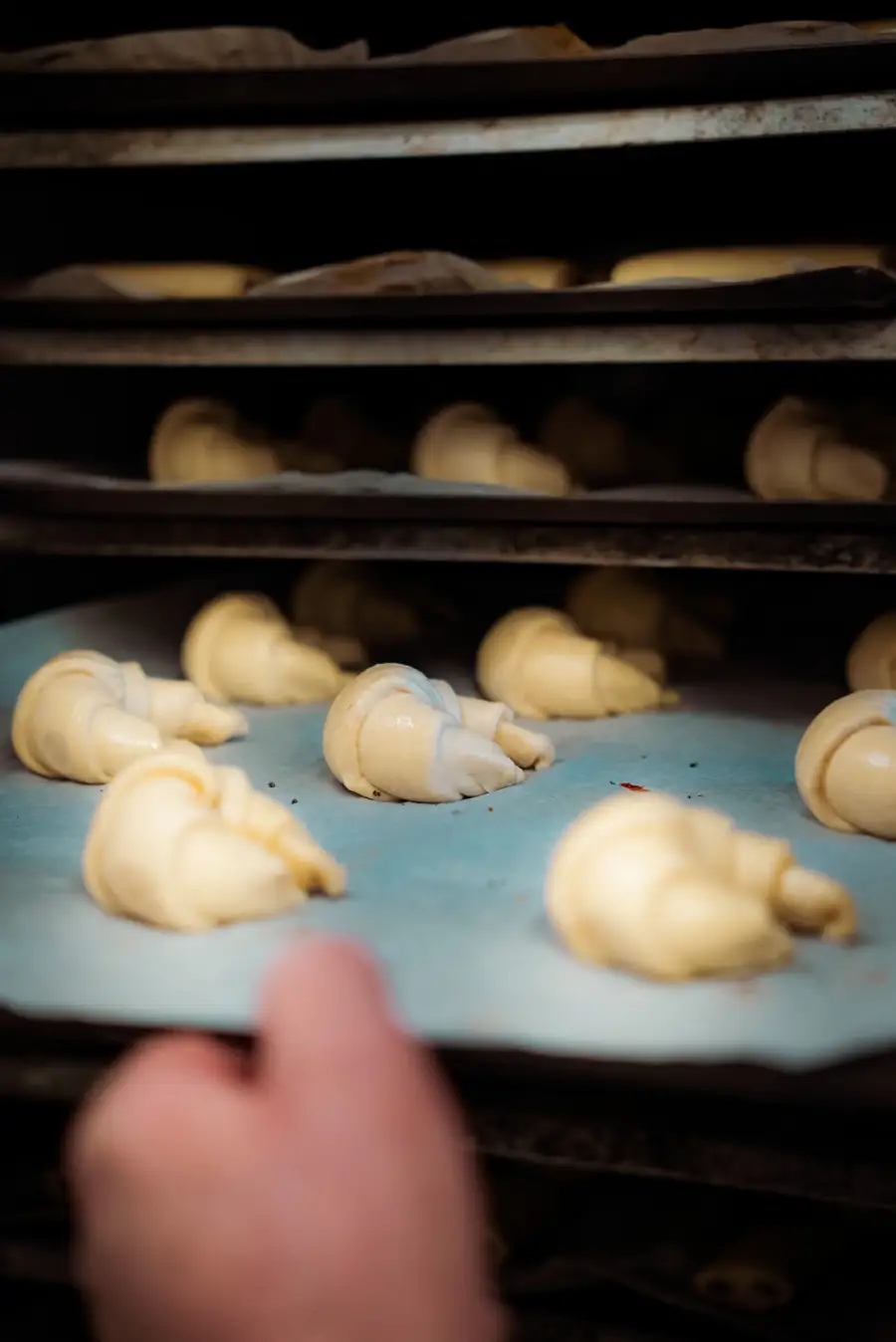 Boulangerie Épi Lianne, photo de reportage
